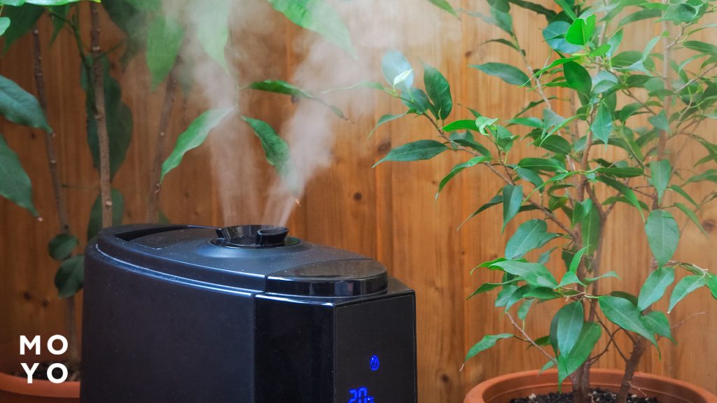 Увлажнение воздуха для растений