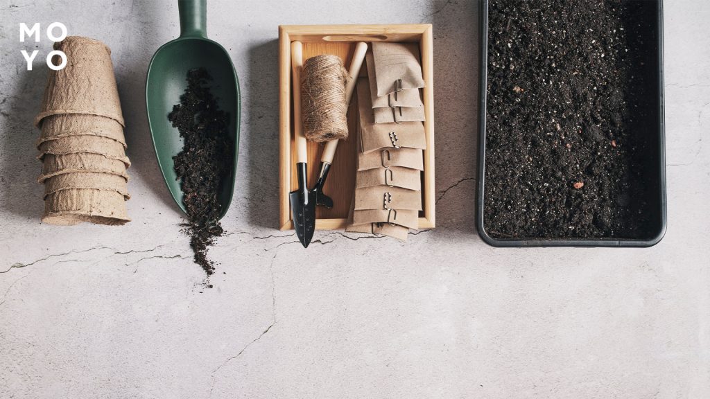 лоток для посева