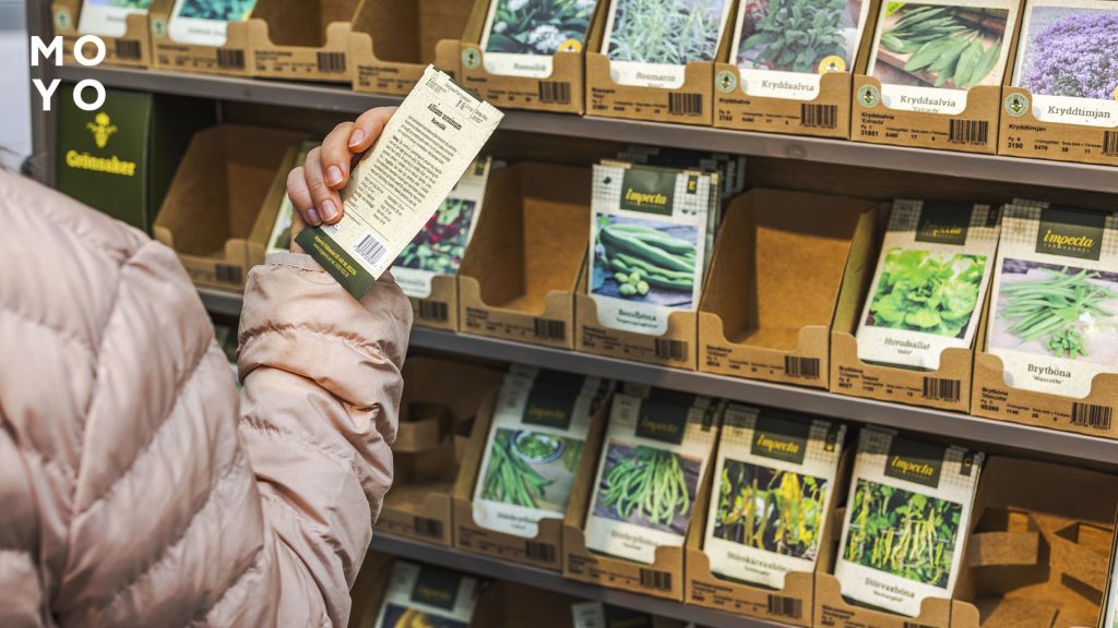 выбор семян в магазине