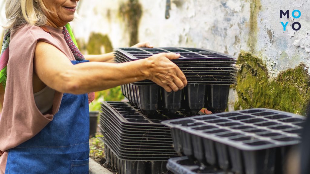 подготовка кассет для высадки рассады