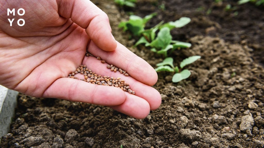 Посевной календарь на март 2026