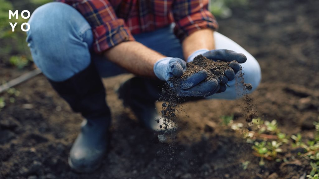 робота з ґрунтом