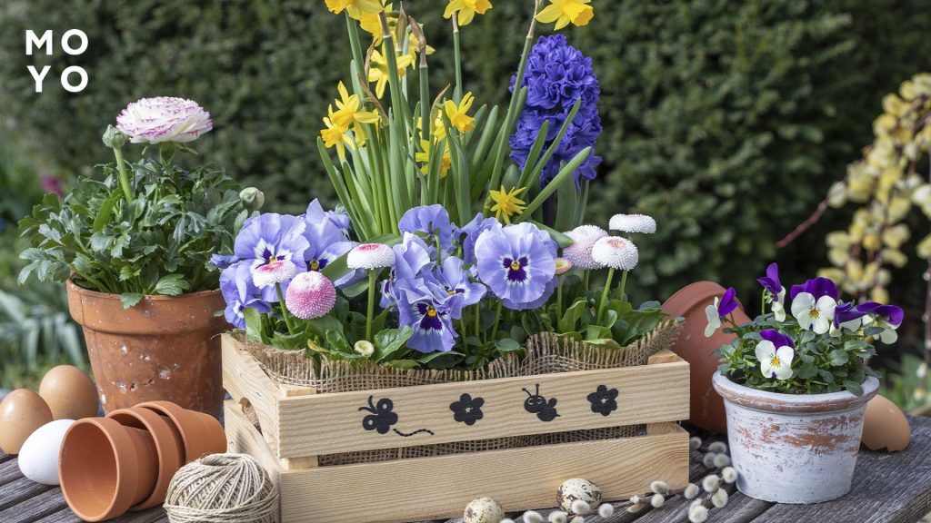 квіткові композиції в саду