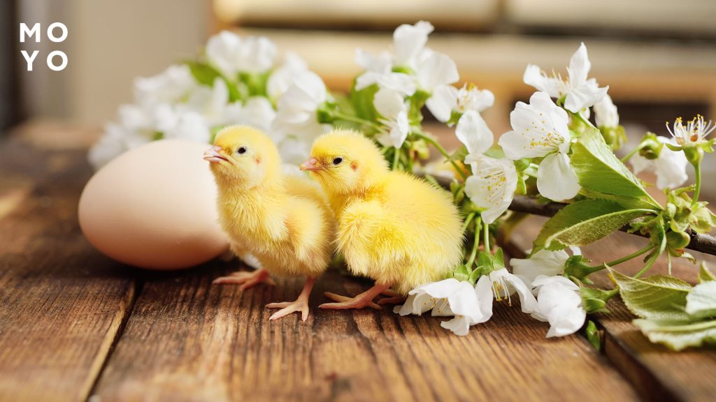 Скільки днів святкують Великдень