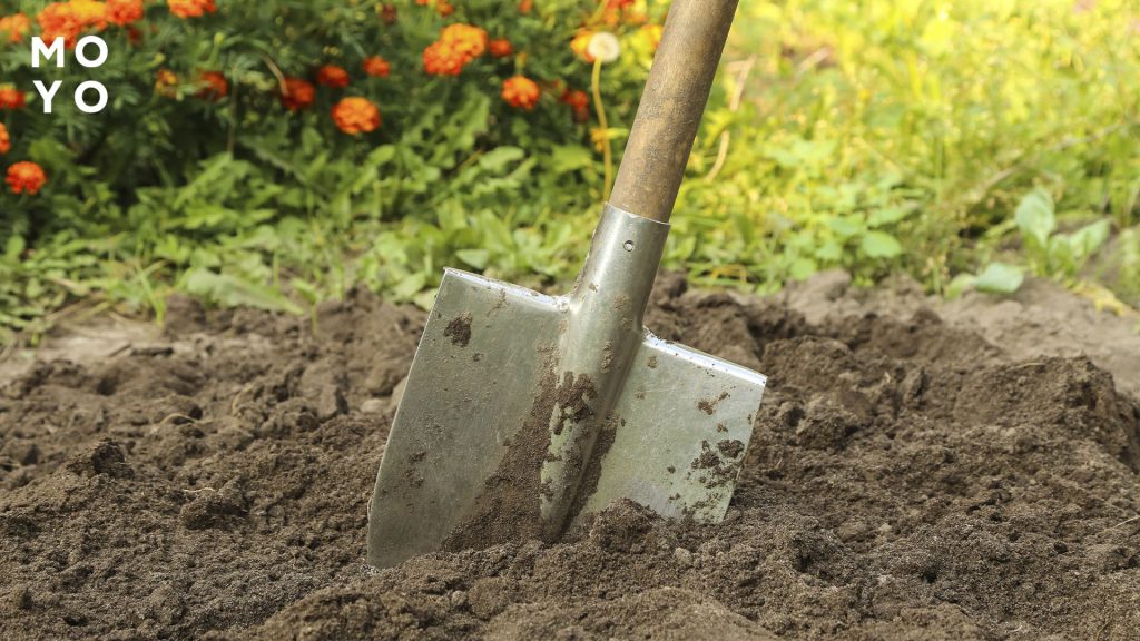 посівний календар на травень