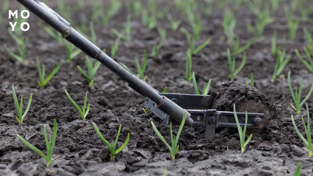 лунный посевной календарь на май