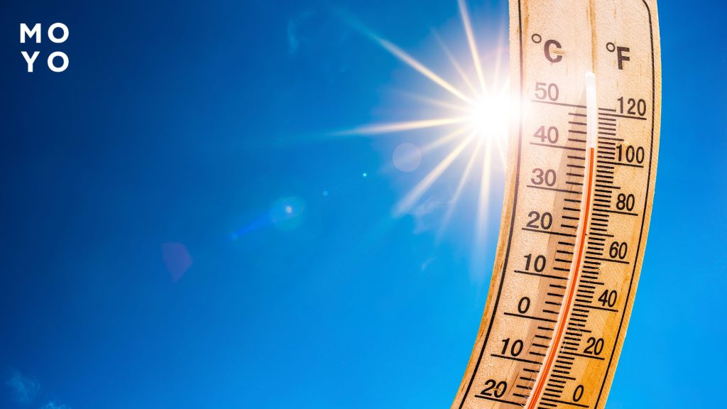 термометр с высокой температурой 