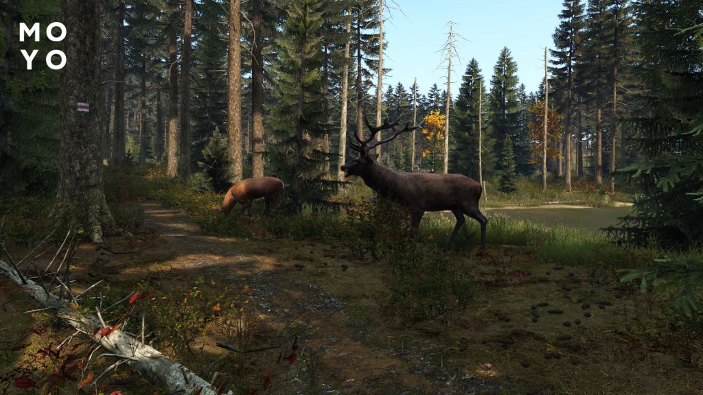 DayZ
